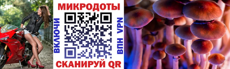 Псилоцибиновые грибы Psilocybine cubensis  закладка  Магас 